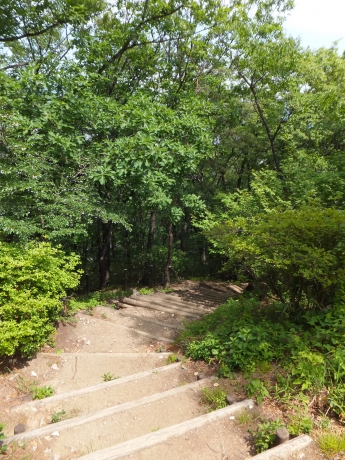 DSCF5990.JPG