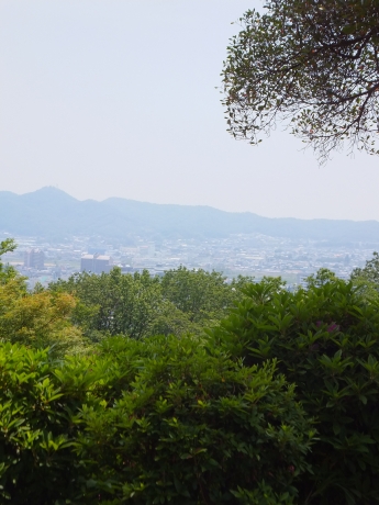 DSCF5991.JPG