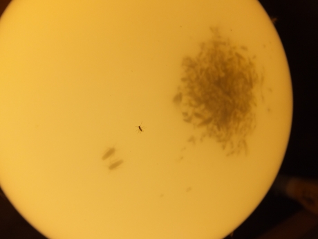 DSCF6037.JPG