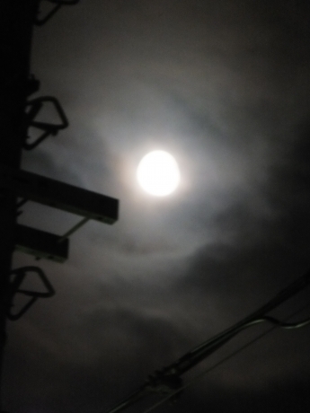 DSCF6042.JPG