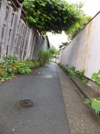 DSCF6065.JPG