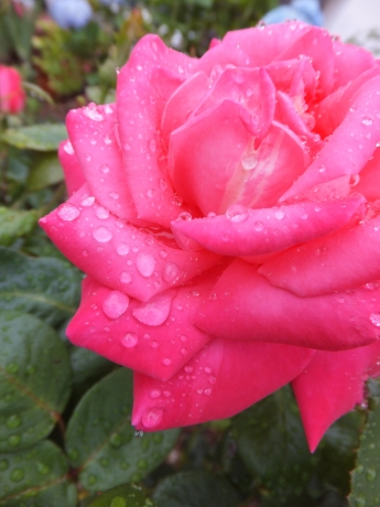 DSCF6063.JPG