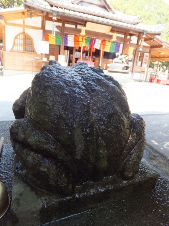 DSCF6092.JPG