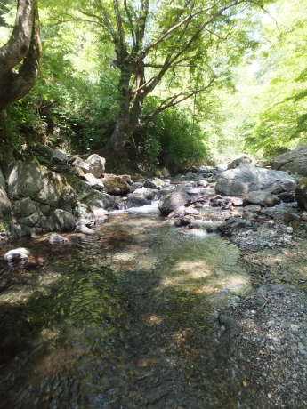 DSCF6097.JPG