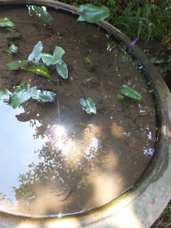 DSCF6087.JPG
