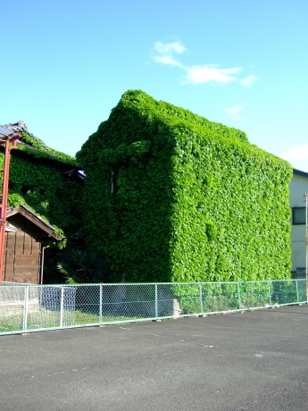 DSCF8065.JPG