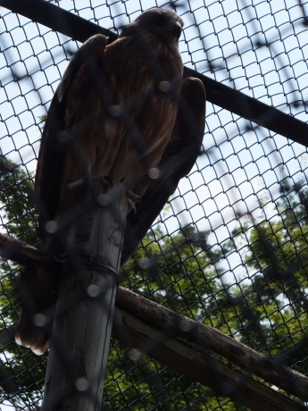 DSCF6184.JPG
