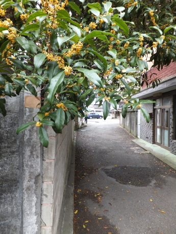 DSCF6611.JPG