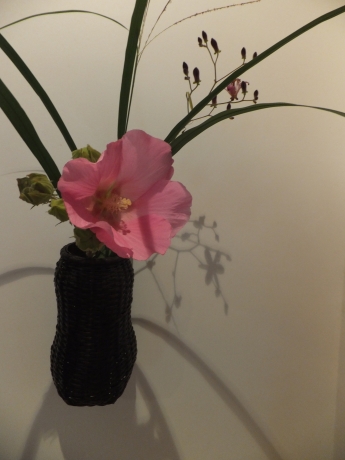 DSCF6622.JPG