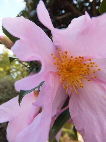 DSCF6674.JPG