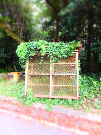 DSCF6771.JPG
