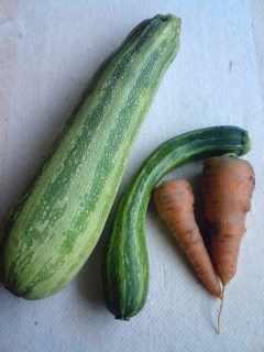 野菜