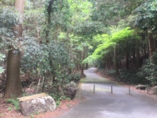 天の岩戸