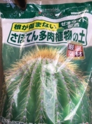 多肉