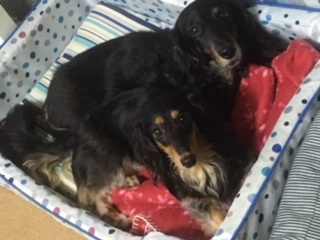 ソラ
