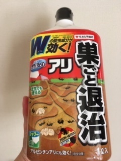 多肉