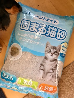 ネコハウス