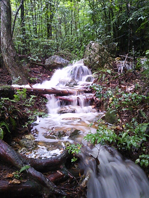 DSC_1242.JPG