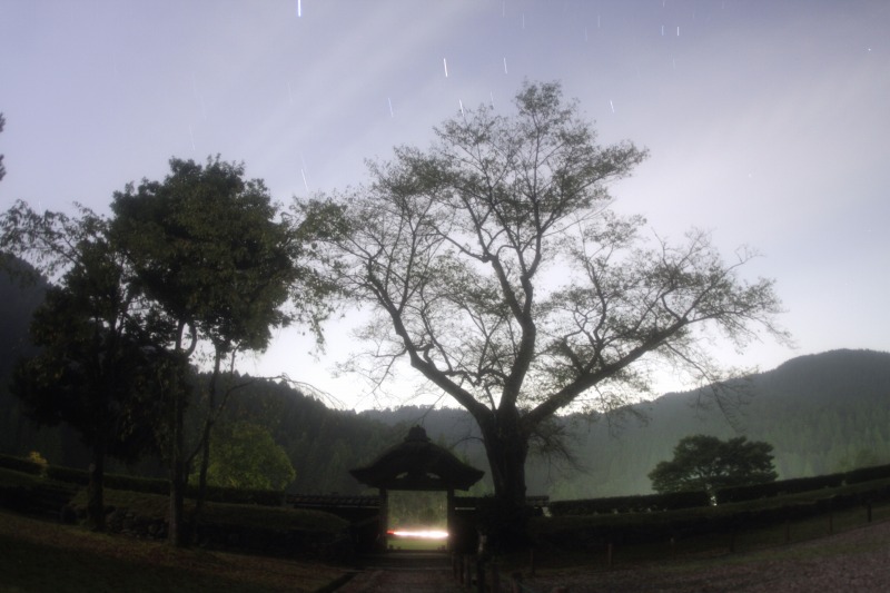 朝倉氏遺跡と星空