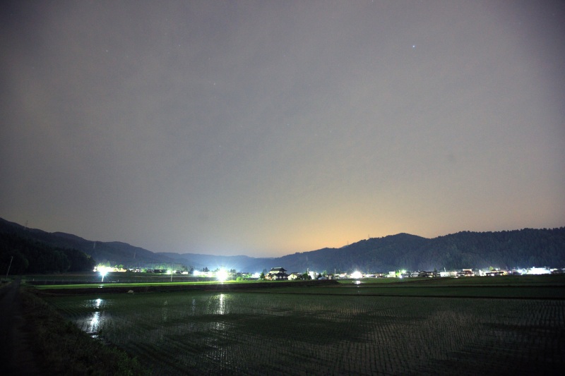 田んぼの風景1