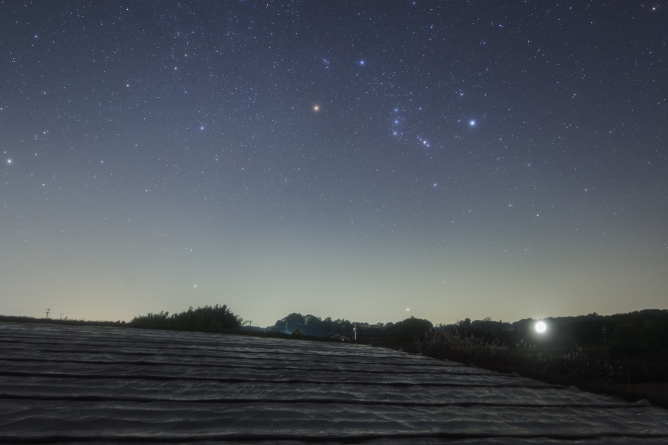 くるみの木と冬の星座２ 星空のある風景写真blog 眠りたくない夜がある