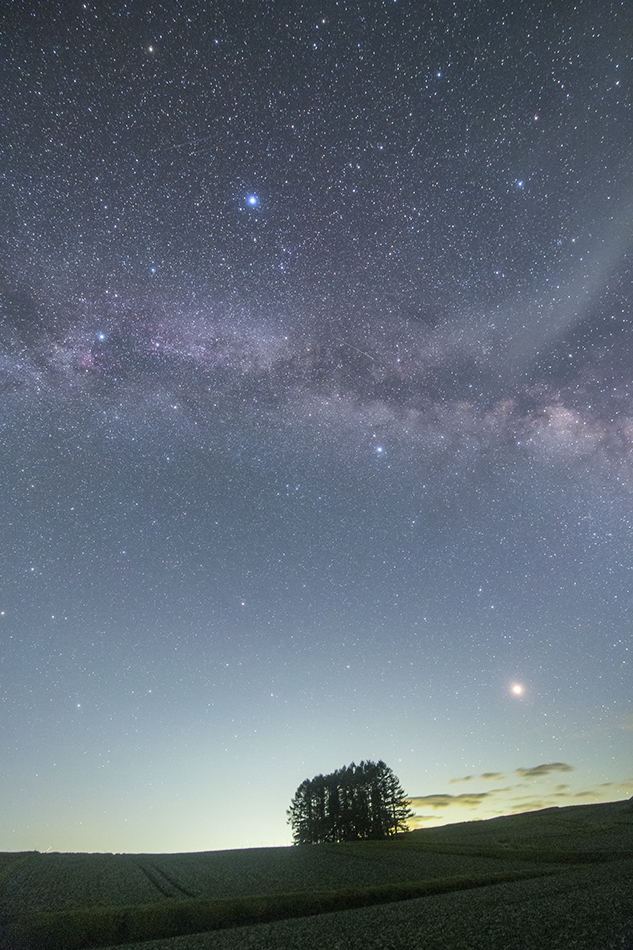 カラマツの丘と夏の大三角と火星