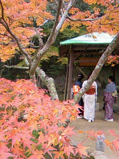 TS3Q01410001.jpg