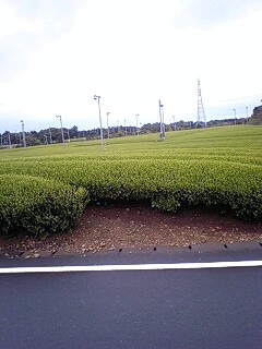 080418_1645~0001.jpg