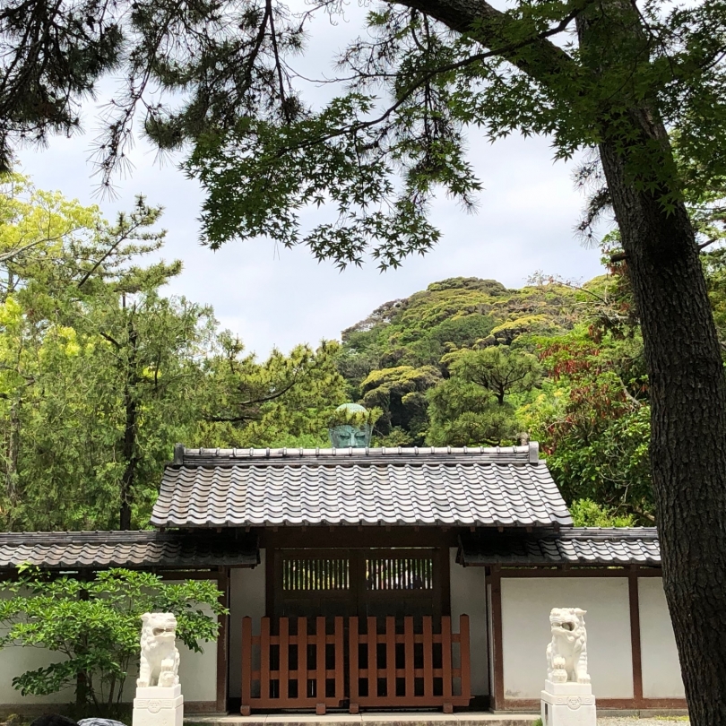 高徳院.jpg