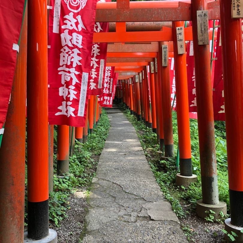 佐助稲荷.jpg