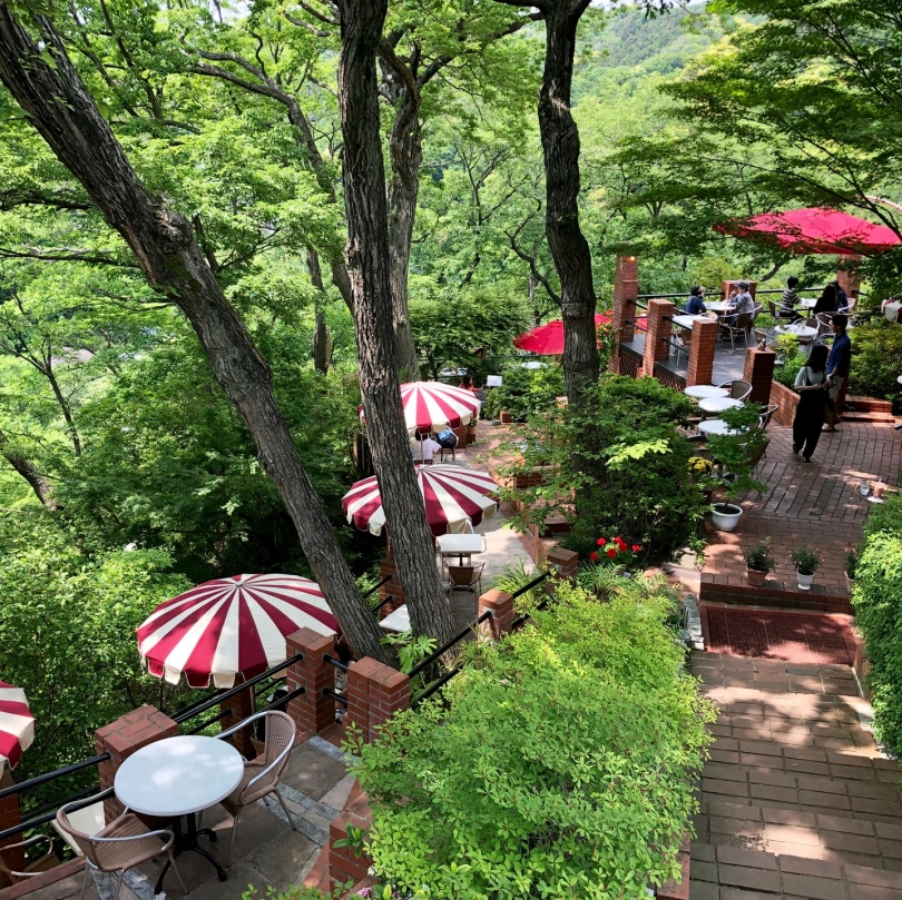 樹ガーデン店内.jpg