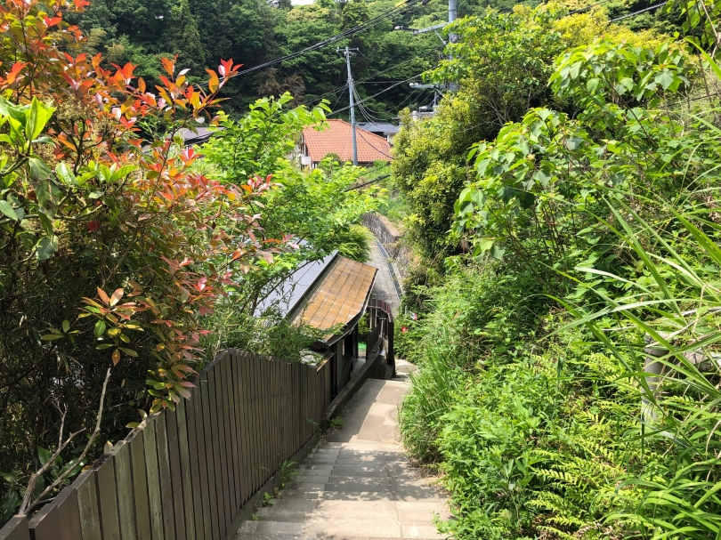 裏道.jpg