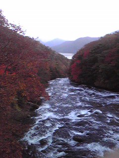 Image4171.jpg