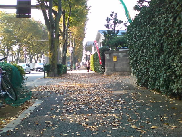 SN3F0332.jpg