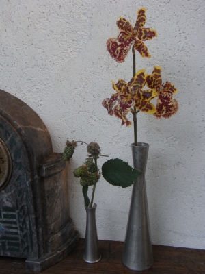 RIMG0362.JPG