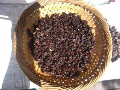 RIMG0437.JPG