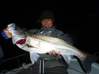 111125_bigtry_01.jpg