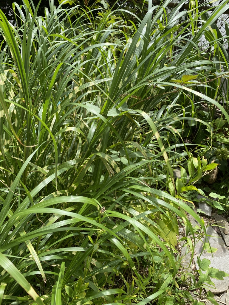 松田隆作 OfficialWebSite【インフォメーション】