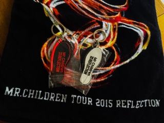 Mr Children Tour 15 Reflection Happy Rin Life