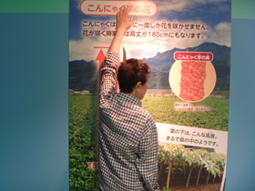 こんにゃくパーク2.JPG