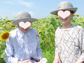 向日葵1.JPG