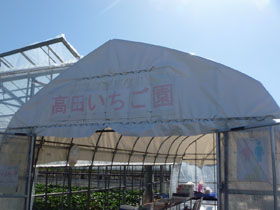 いちご2.JPG