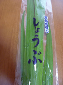 菖蒲湯1.JPG
