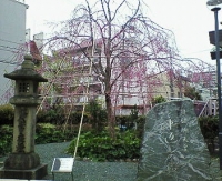 後醍醐天皇車返しの桜