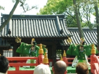 胡蝶