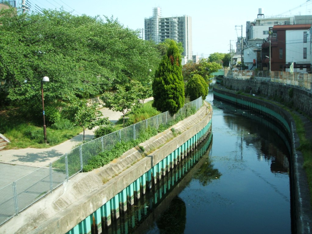 今川
