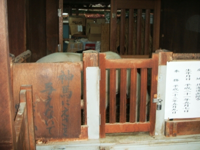 白馬(こっちを向いてくれません…)