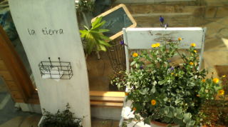 20090307104158.jpg