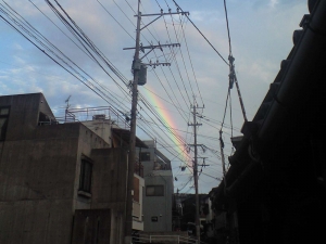 虹