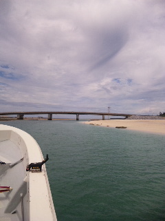 DVC00013.jpg